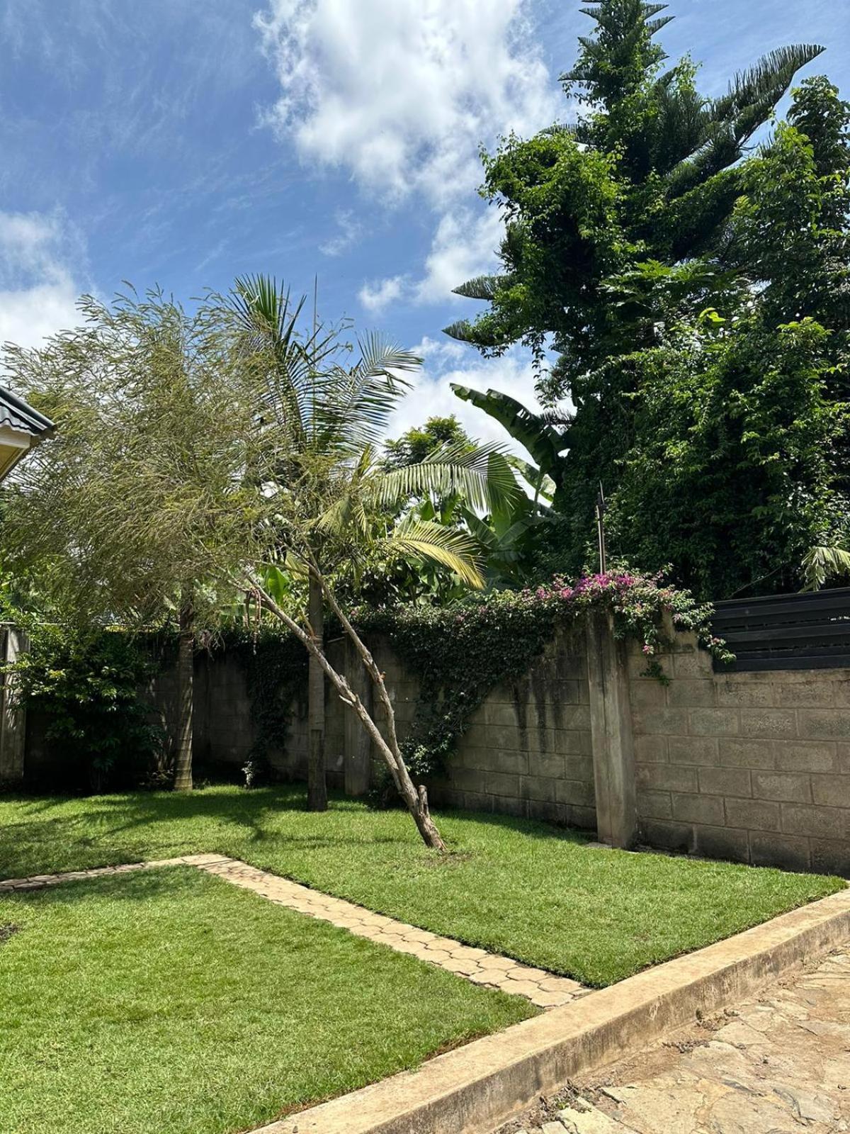 Kimya Homestay Nkoanrua Exteriör bild